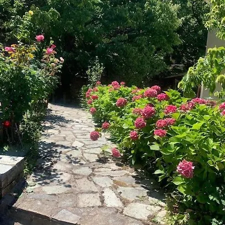 The Forest Sea View House - Xourichti-tsagkarada Pilio Tsagarada