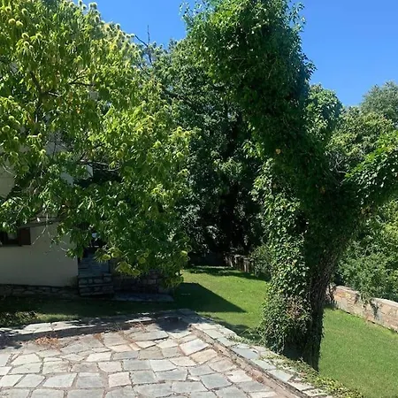 The Forest Sea View House - Xourichti-tsagkarada Pilio *