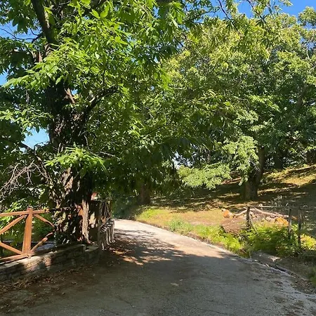 The Forest Sea View House - Xourichti-tsagkarada Pilio