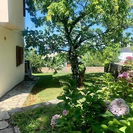 Prázdninový dům The Forest Sea View House - Xourichti-tsagkarada Pilio *