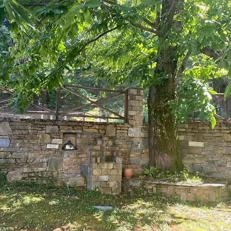 Dom wakacyjny The Forest Sea View House - Xourichti-tsagkarada Pilio Tsagarada
