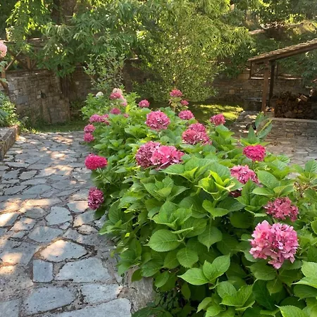 The Forest Sea View House - Xourichti-tsagkarada Pilio *
