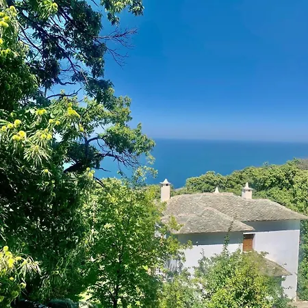 The Forest Sea View House - Xourichti-tsagkarada Pilio Prázdninový dům *